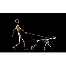 Load image into Gallery viewer, Car Horror Sticker Rear Window Stickers PVC Vinyl Wrap Film 3D Transparent Glass Stickers