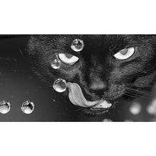 Load image into Gallery viewer, Car Horror Sticker Rear Window Stickers PVC Vinyl Wrap Film 3D Transparent Glass Stickers